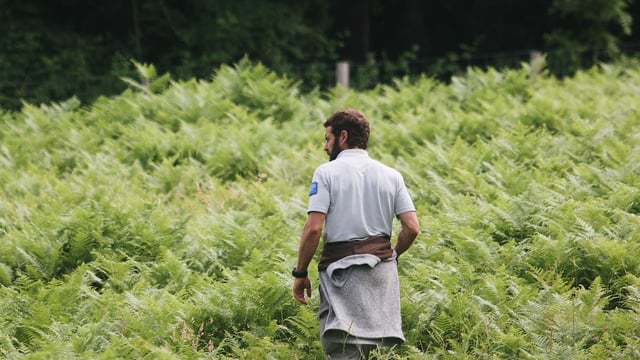 Share Farming EIP set to launch in coming months
