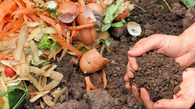 How food waste can boost domestic fertiliser production