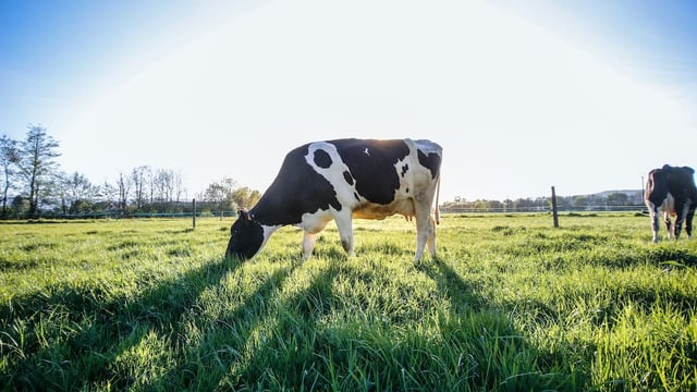 Claim that emissions targets could lead to less food production