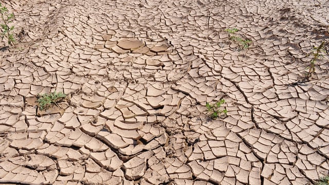 Risk of flash droughts expected to rise globally - study