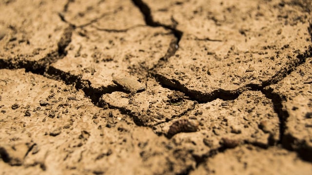 Ireland urged to increase funding to curb global food insecurity