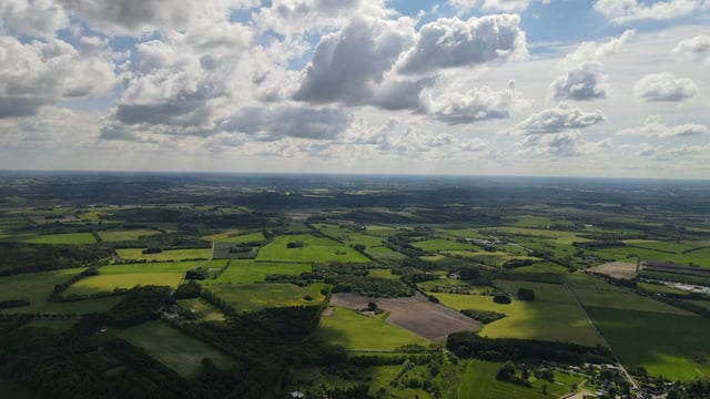 MEP welcomes application for Ireland's nitrates derogation