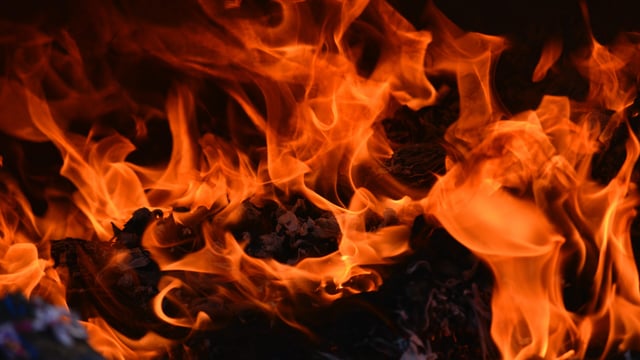 Investigations into fire on forest edge in Wexford 'ongoing'