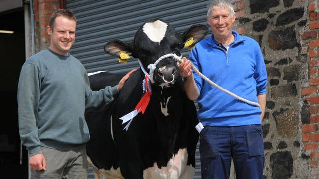 Holstein bull sells for 9,000gns at Kilrea Mart