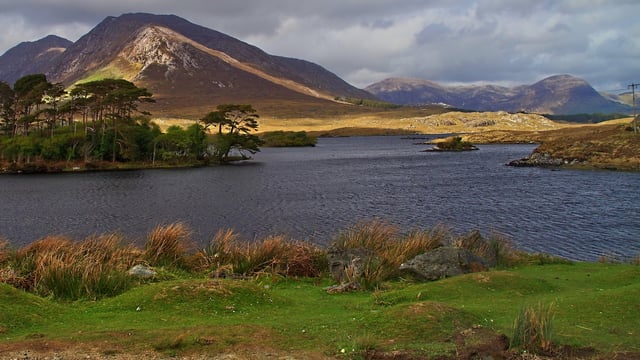 MEP to host Mayo meeting about rural decline