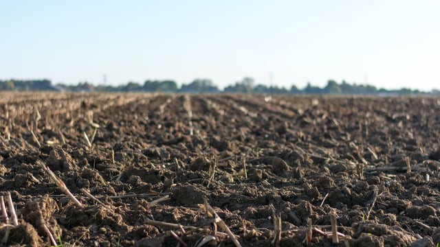Environment MEPs push for law to improve degraded soils