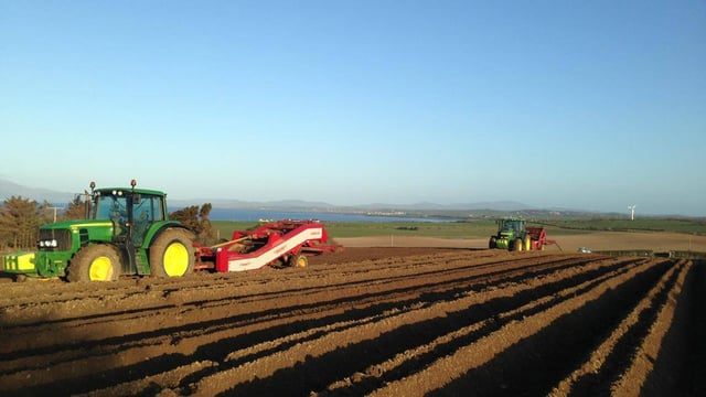 Agri-food Brexit impact: 'Even printer ink was taking 6 weeks'