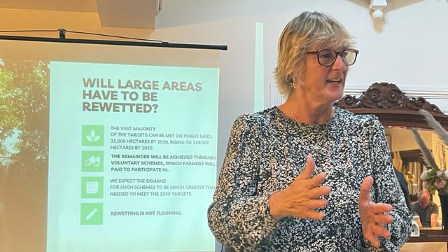 Video: No mention of CPO in Nature Restoration Law - Green MEP