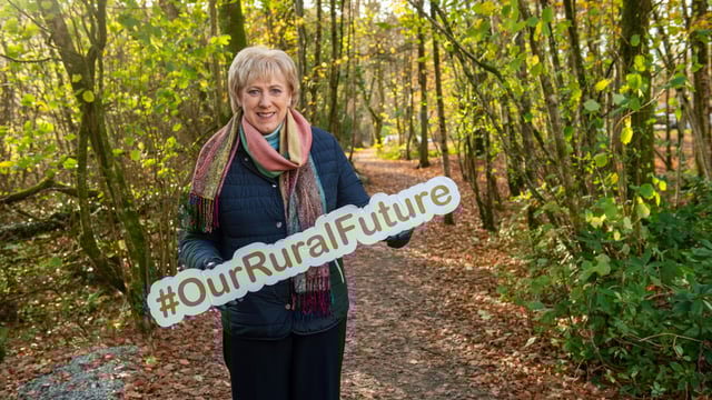 Coillte gets €3m to develop forests & facilities