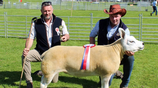 Lurgan Show: Texel shearling ewe takes inter-breed prize