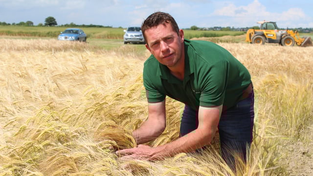 Tillage: Take-all impacting winter barley yields in north-east