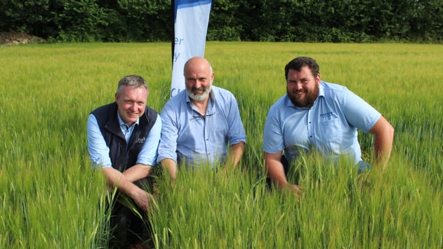 Tillage Focus: Increase in break crop area may boost grain yields