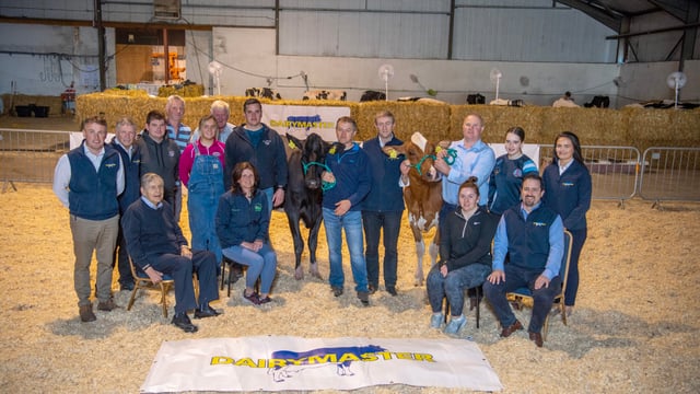 Kerry Holstein Friesian Breeders launch herds competition