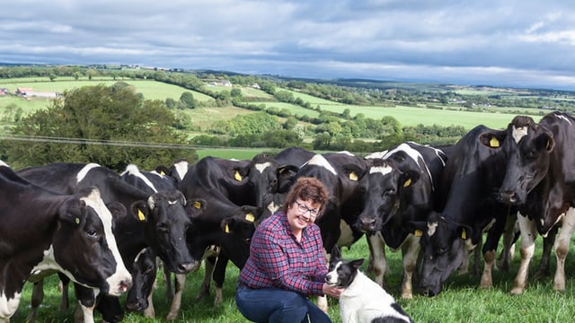 Designating only one person as herd keeper labelled 'demoralising'
