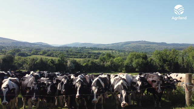 Watch: The reality behind milk price and cost of production