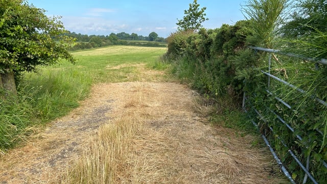 Commission wants to hear farmers' views on nature restoration