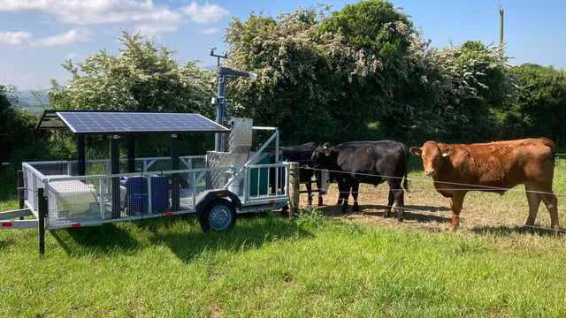 ABP Demo Farm: GreenFeed, reseeds and average weights