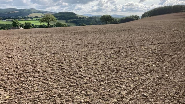 Weather woes for ABP Demo Farm's multi-species reseed