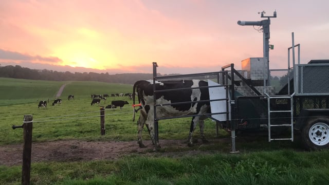 Science of dairy to feature at Moorepark open day
