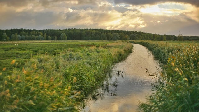 Water Forum urges immediate implementation of action plan