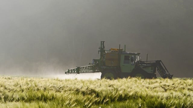 EU review assessing risk of glyphosate due next month