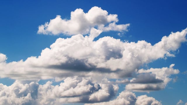 An Taisce: 'Emergency' climate measures needed
