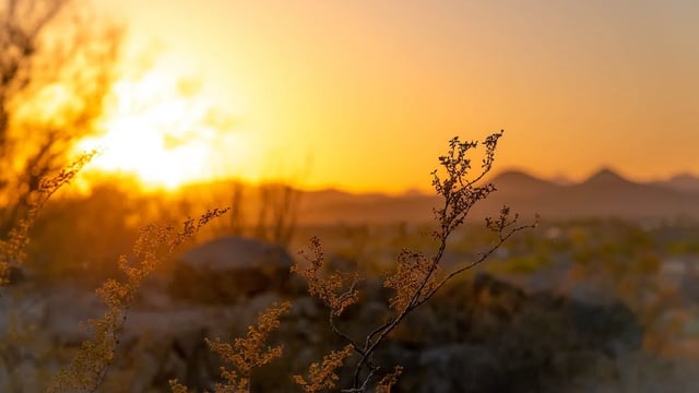 EPA: Climate change will 'impact' on all aspects of Irish agriculture