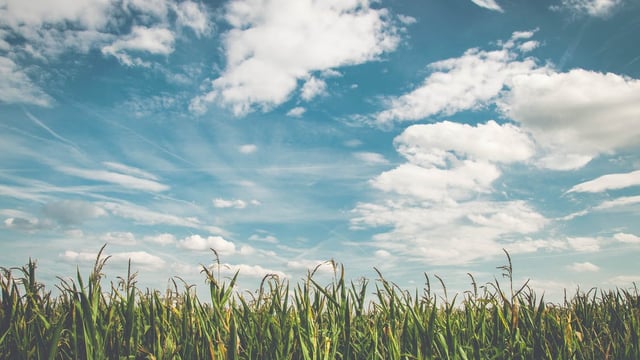 Action needed on NI carbon emissions - MLA