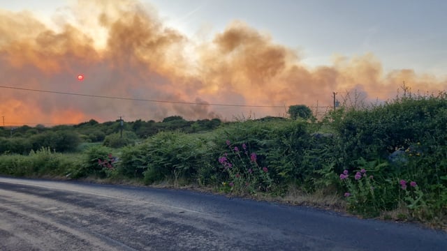 Call for awareness campaign following gorse fire in Galway