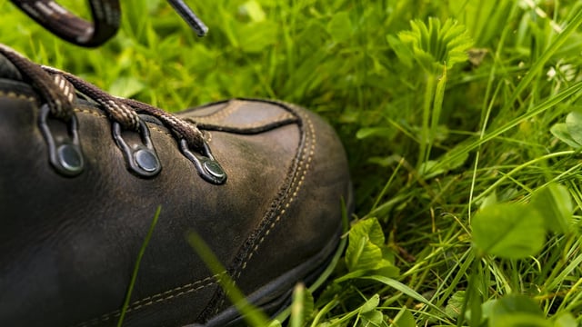 Mountain access landowners in Galway get 'engagement officer'