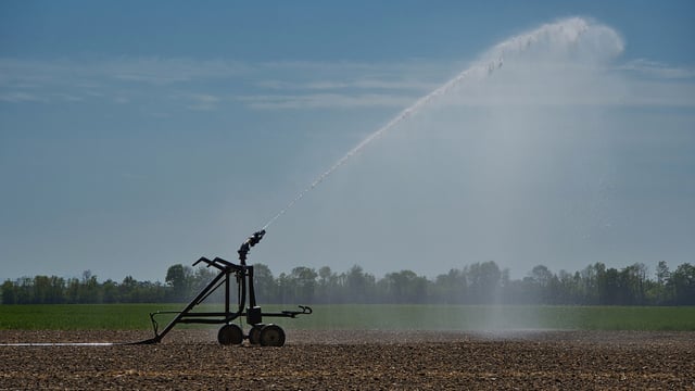 Dam breach could turn Ukraine farmland into 'deserts'