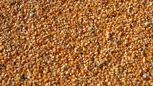 An Bord Pleanála refuses permission for grain facility in Cork