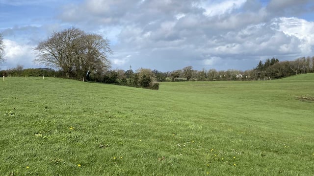 39ac Pallaskenry 'trophy holding' for sale