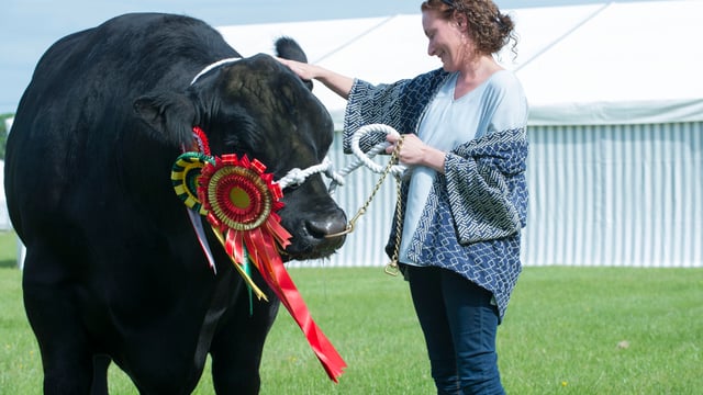 Machinery zone and vintage display to feature at Cork Summer Show