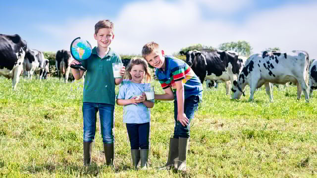 Dairy farmers in NI celebrate World Milk Day