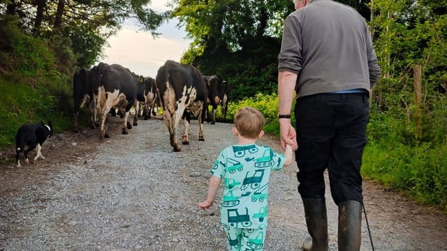 'Moment of nostalgia' claims top honours in dairy photo competition