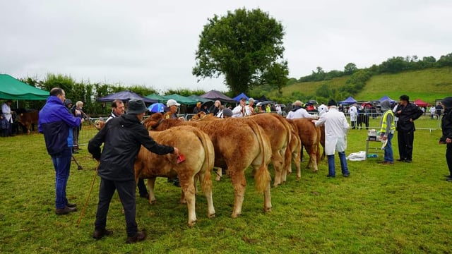 Prizes up to €6,000 at Cloone Agricultural Show