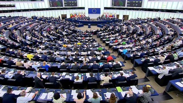 MEPs vote in favour of revised Nature Restoration Law
