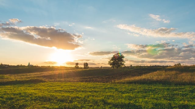 ICSA: Budget 2024 should focus on 'farm incomes'