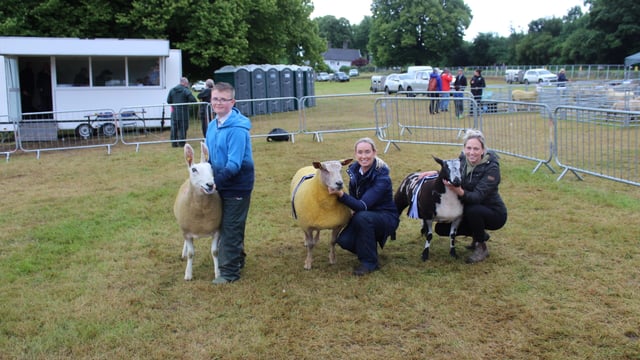 Dutch Spotted hogget carries the day at Castlewellan Show