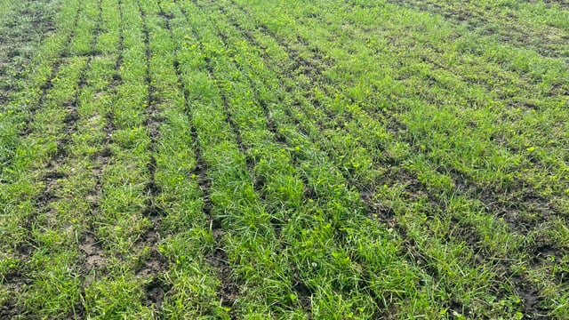 Should farmers empty slurry tanks straight away?
