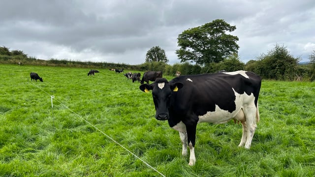 Increasing farm sustainability and profitability in Sligo