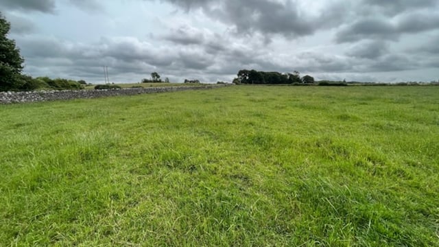 'Highest quality Golden Vale land' guiding at €18k/ac