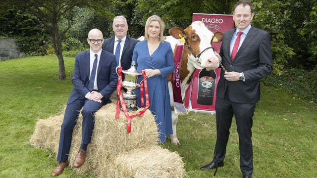 2023 Baileys cow competition opens with €13,000 prize fund