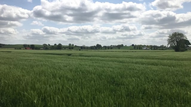 Prime Kildare tillage land makes over €23,000/ac at auction