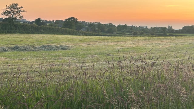 Mayo has highest number of farmers waiting for ACRES payments