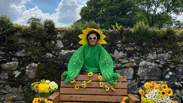 Diversification: Sunflower picking on Galway farm