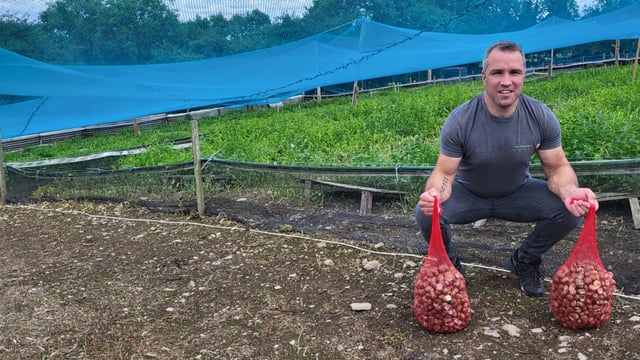 Cavan farmer building Ireland's first snail processing plant