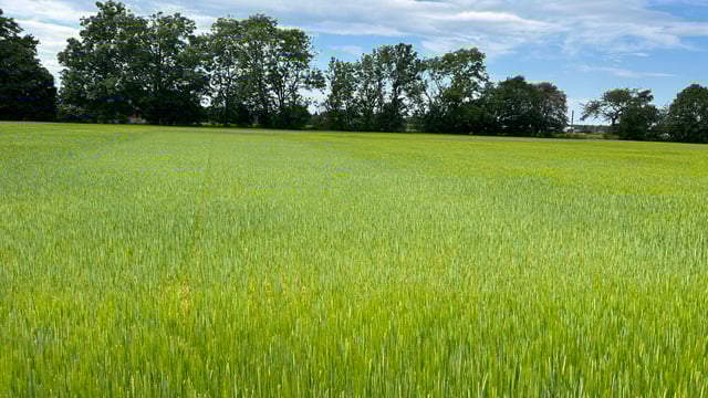 Can Sweden lead the way for Irish farmers to embrace 'recycled' fertilisers?