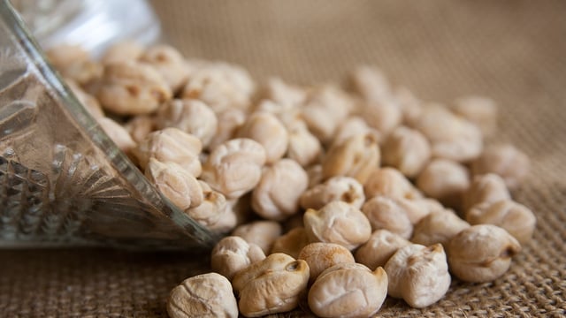 New chickpea breeding and research programme in the UK